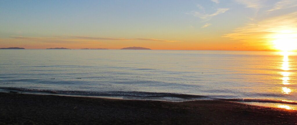 The pine-backed beach at Cecina on the Etruscan Coast